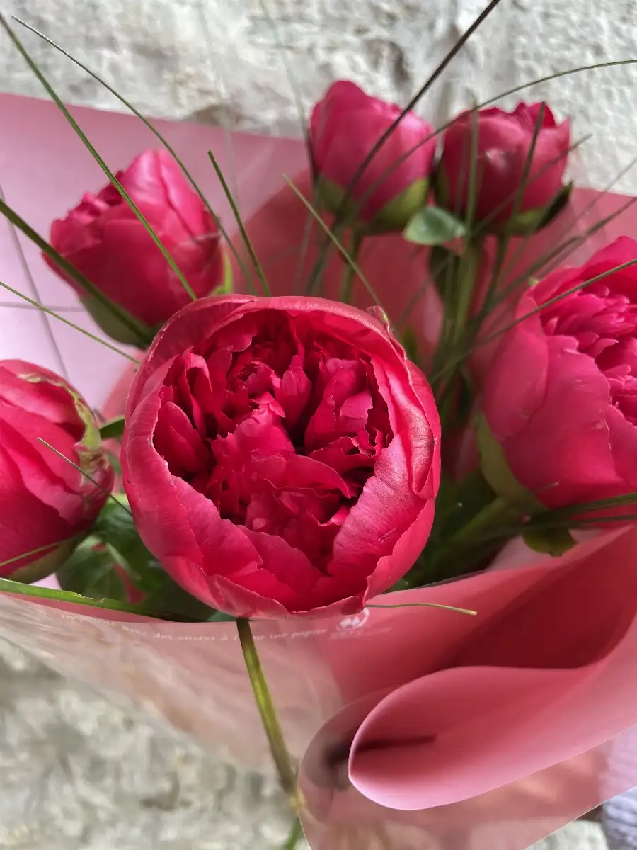 Les pivoines